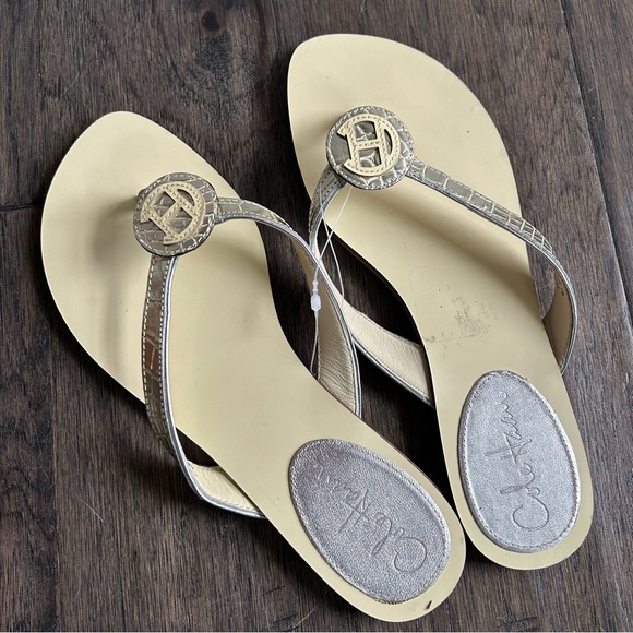 Cole Haan Two-Tone Silver Metallic Flip Flops – Size 7 Logo Sandals - Picture 1 of 5